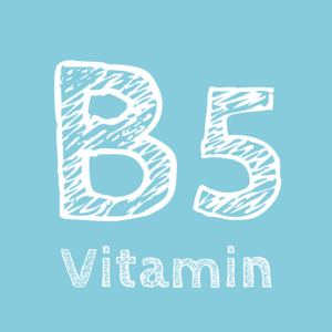 비타민 B5(판토텐산) 권장 섭취량, 부작용 알아보기 비타민-B5