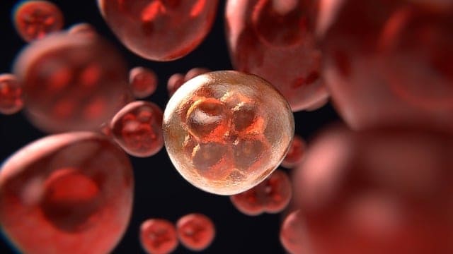 암을 예방하는 7가지 방법 암세포