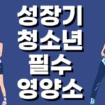 청소년-필수-영양성분