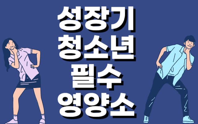 청소년-필수-영양성분