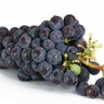 포도
